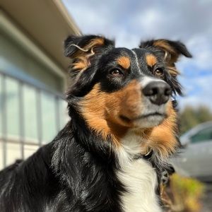 Meet your Posher, Jaymin